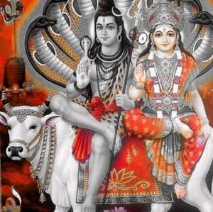 Meet your Posher, Vallipandyan